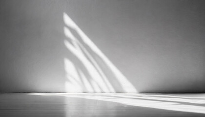 empty room bathed in ethereal white light, casting gentle shadows on pristine floor, capturing tranquility and simplicity