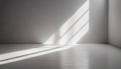 empty room bathed in ethereal white light, casting gentle shadows on pristine floor, capturing tranquility and simplicity