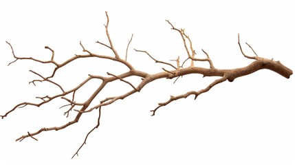 tree branches ai generated