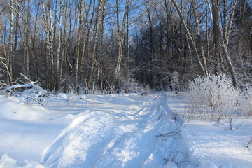 Winter landscape - Snow-covered road in the forest on a sunny day