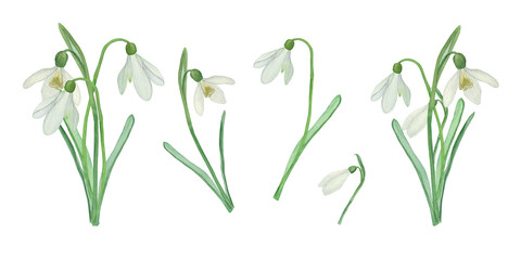 Fototapeta na wymiar Set of spring flowers hand drawn