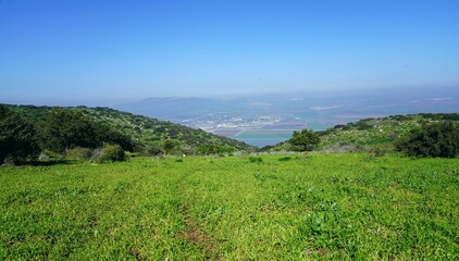 Fototapeta na wymiar On Mount Gilboa in January