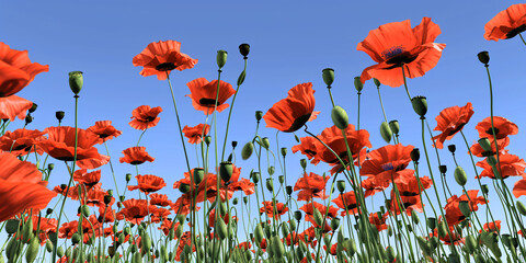 Obraz premium Vibrant field of red poppies against a clear blue sky. Spring and nature concept. Design for environmental themes, springtime event poster, nature conservation promotion 