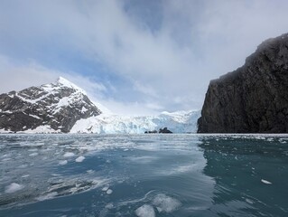 Elephant Island oder Elefanteninsel bei den Südlichen Shetlandinseln in der Antarktis