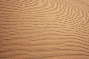 The wind has created lines and lines on the desert sand