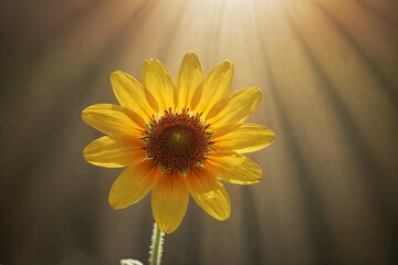 the sun is shining brightly on this yellow flower with leaves and stems