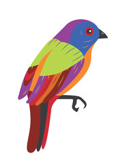 Painted Bunting Cardinal, a colorful exotic bird. Isolated element for your design.