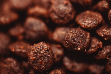 frames from a macro lens