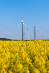 Wind turbine in a rapeseed field - 715073113