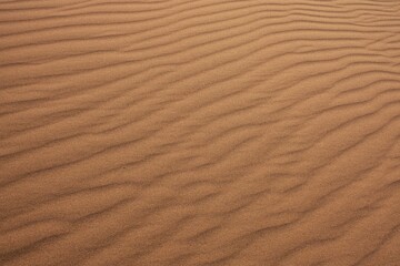 The wind has created lines and lines on the desert sand