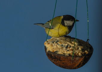 Fototapete bei efototapeten.de bestellen   