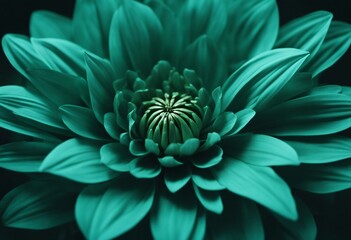 Turquoise Flower Close Up