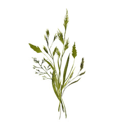 Watercolor hand draw floral bouquet with spring flowers, green grass and leaves, isolated on transparent background, PNG files.