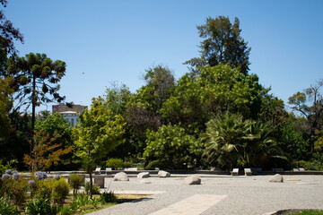 quiet square promenade in the city center amidst the calm of nature with flowers, trees and bushes pedestrian streets