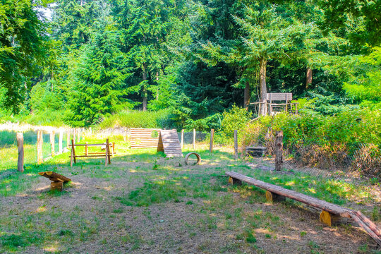 Dog sports field in the forest in Germany.
