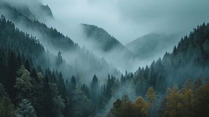 A picturesque view of the natural mountain landscape in clouds and fog