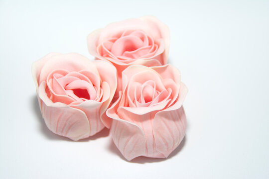 Three pink roses in close-up. Delicate background for a postcard, banner, photo wallpaper, cover, poster.