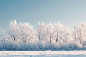 Snow-covered trees in a winter landscape. Serene and calm winter scenery for design and print. Cold season and tranquility concept

