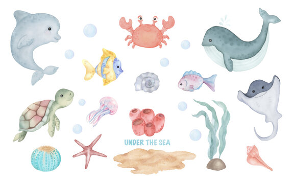 Set of marine animals. Cartoon watercolour ocean fish