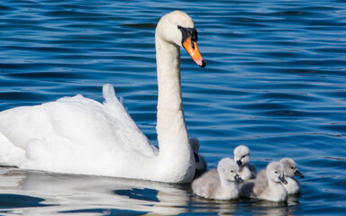 Obraz premium North Wales