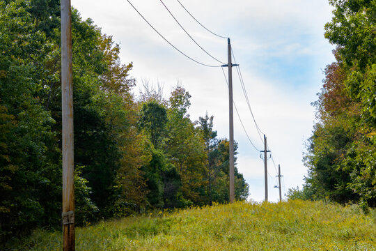 Electric transmission lines on an easement cut through a forest in a rural area