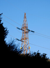 Supporting structure of an electric pylon in a wooded area - 715105714