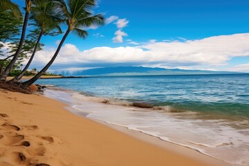  a sandy beach next to the ocean with palm trees in the foreground and a mountain range in the distance.