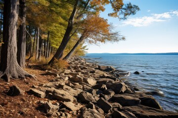  a large body of water sitting next to a forest with lots of rocks on the shore and trees on the other side of the water.
