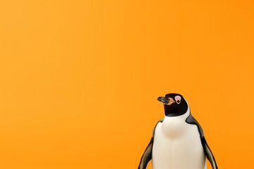  a black and white penguin standing in front of an orange background with a black and white penguin on it's head.