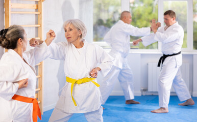 Two elderly women in kimono practice painful blows during karate lessons