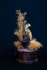 Bobcat Lynxin the dark