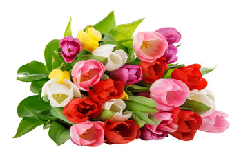 Spring tulips flowers bouquet, romantic greeting gift for birthday or Saint Valentines day holiday. Tulip isolated. PNG.