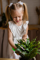 Cute little blonde girl takes care of flowers at home