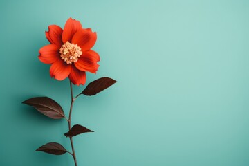 red flower on mint green background