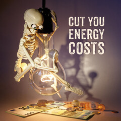 Funny picture on the topic of saving electricity with the inscription - Cut your energy costs.