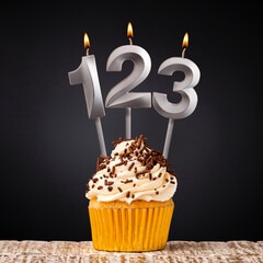 birthday cupcake with number 123 candle - Celebration on dark background