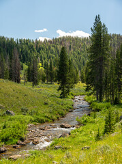 Fototapeta na wymiar Bacon Rind Creek Passes Through Meadow In The North West Corner Of The Park