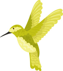 Hummingbird Tropical Bird