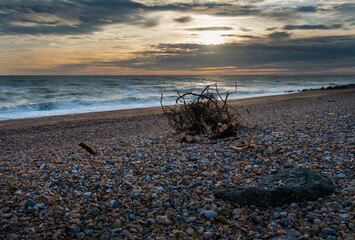 Branches on a shingle beach at sunset in winter