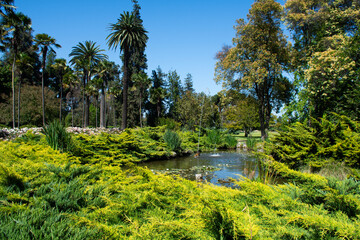 beautiful botanical garden with fish pond and aquatic plants and fountain on a sunny day