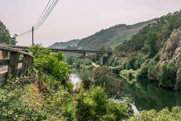 Fototapeta premium Vegetation on the bank of the Mondego River with a bridge in the background, Penacova PORTUGAL