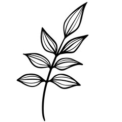 doodle botanical flowers and leaves