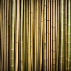 wall made of natural bamboo stems
