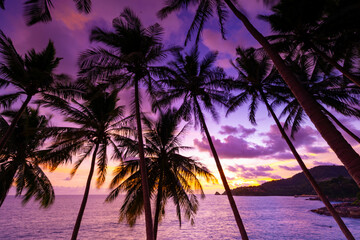 Beautiful colorful sunset or sunrise sky over sea with dramatic clouds nature environment background