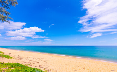 Beautiful sea summer landscape in summer season nature background