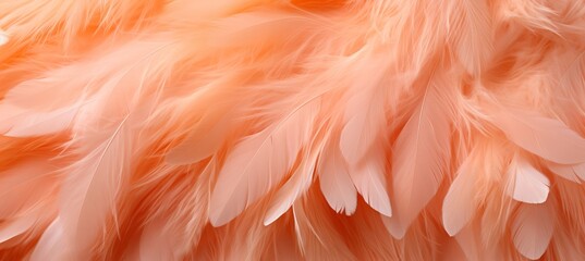 2024 peach fuzz macro apricot fluffy feather background trendy peach texture close up.