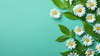 photo flat lay of spring daisies and leaves with copy space