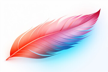 Red and blue feather on a white background.
