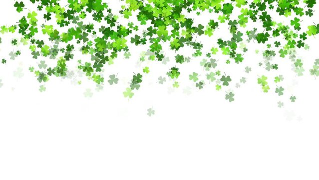 Falling green leaves shamrock clover on white background. Copy space. Looped holiday animation for St. Patricks Day.