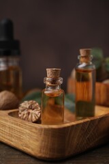 Nutmeg essential oil and nuts on wooden table